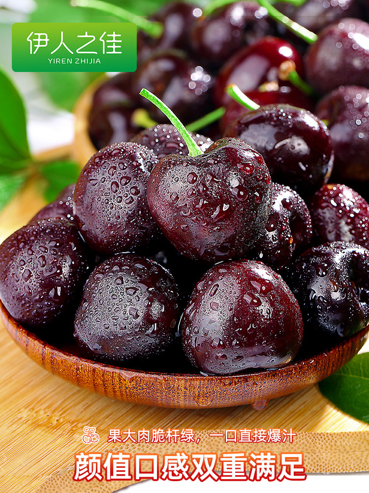 Chile cherries 2/3/2.50kg fresh fruit seasonal whole box postage pregnant women imported cherry 3j4 gift box