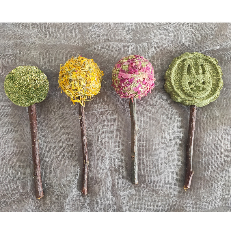 Pet rabbit bite snack Chinchilla hamster guinea pig petal molars grass lollipop apple branch cake