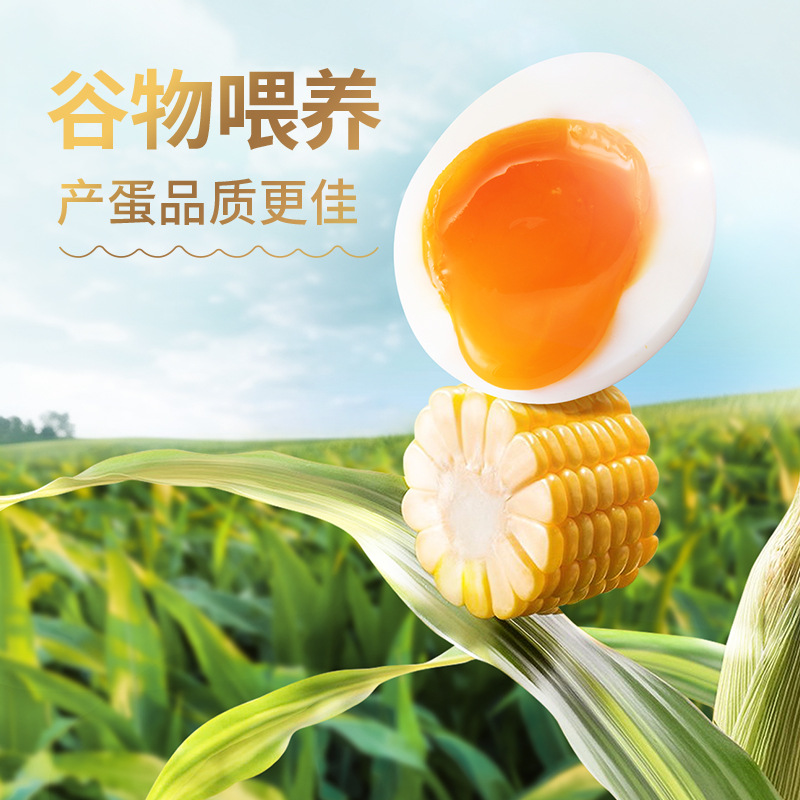 Sundile Village Grain Eggs 30 Fresh Eggs Whole Box Can Be Eaten Raw Sterile Eggs Egg Gift Box Sf Free Shipping