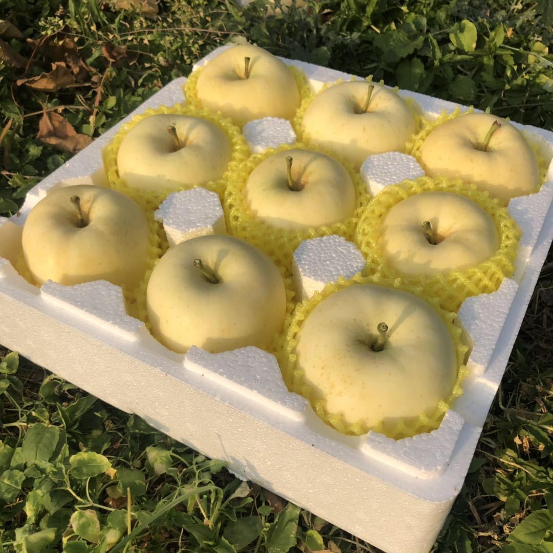 2025 Cream Fuji Golden Apple One-Piece Dropshipping Yantai Apple Cream Fuji Apple