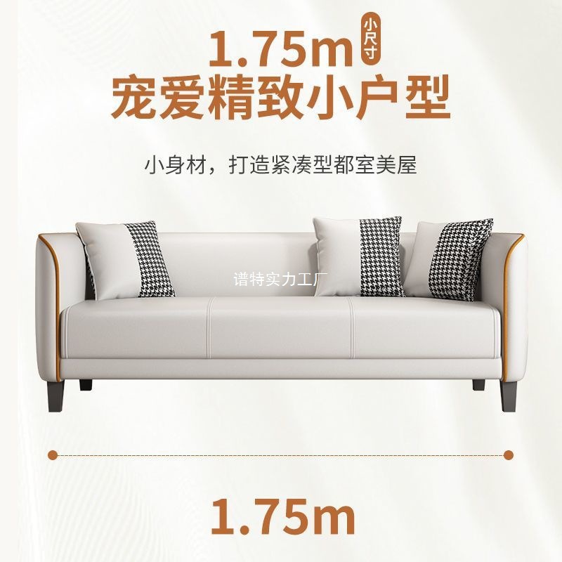 Sofa Small Apartment Rental House Small Sofa Light Luxury Living Room Household Simple Modern Apartment Double Technology Cloth Sofa