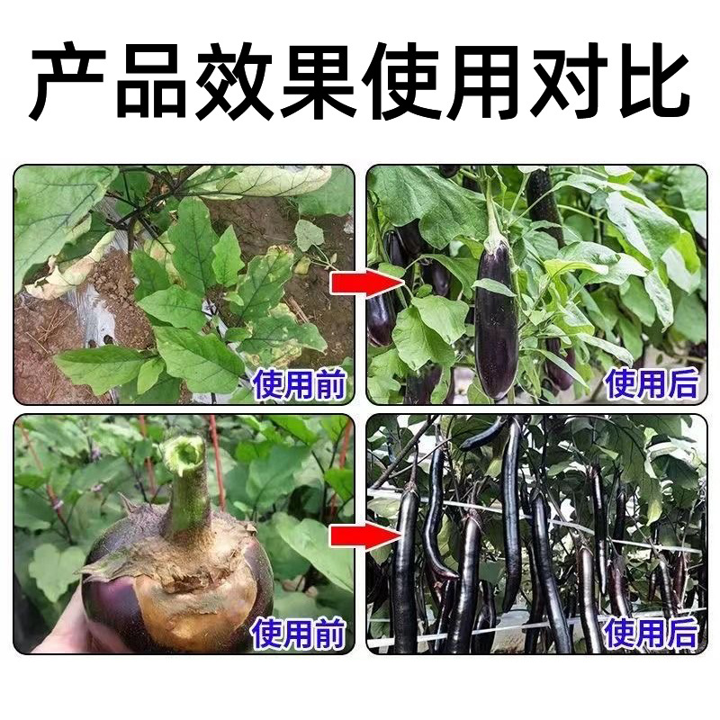 Eggplant Pathogen Clearing Agent for Eggplant Yellowing Wilt, Anthracnose, Gray Mold, Root Rot, and Wilting Disease Prevention and Control Fungicide