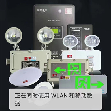 Wholesale Min Wah Loos Fire Emergency Evacuation Indicator Light Type a 36V Centralized Power Emergency Light Evacuation Marker