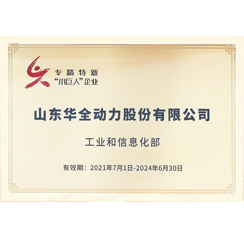 Huaquan Breeding 50Kw Natural Gas Generator 75 100Kw 380V Generator Set Three-Phase Brand New