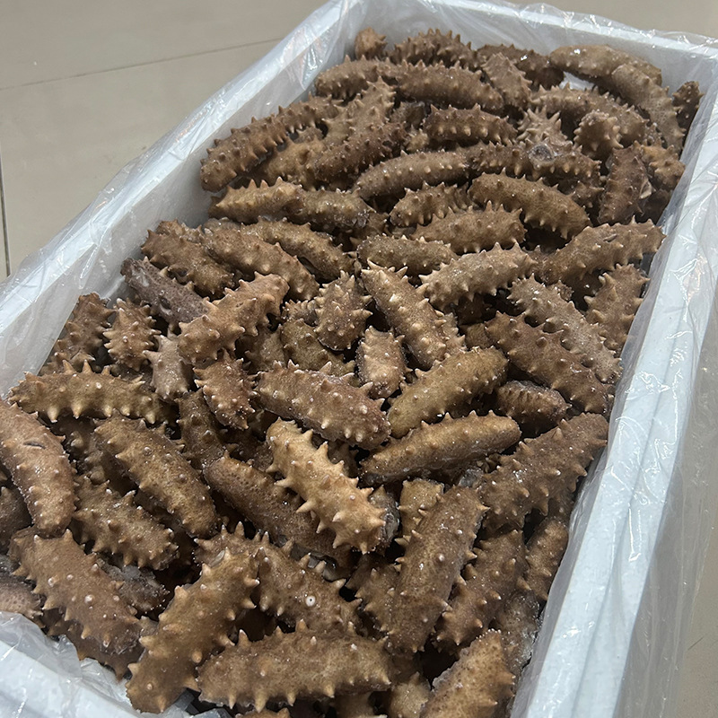 Manufacturer Fresh Dalian Ready-To-Eat Sea Cucumber Liaosheng Sea Cucumber Gift Box Dalian Fresh Sea Cucumber Sea Cucumber Ready-To-Eat Sea Cucumber Wholesale
