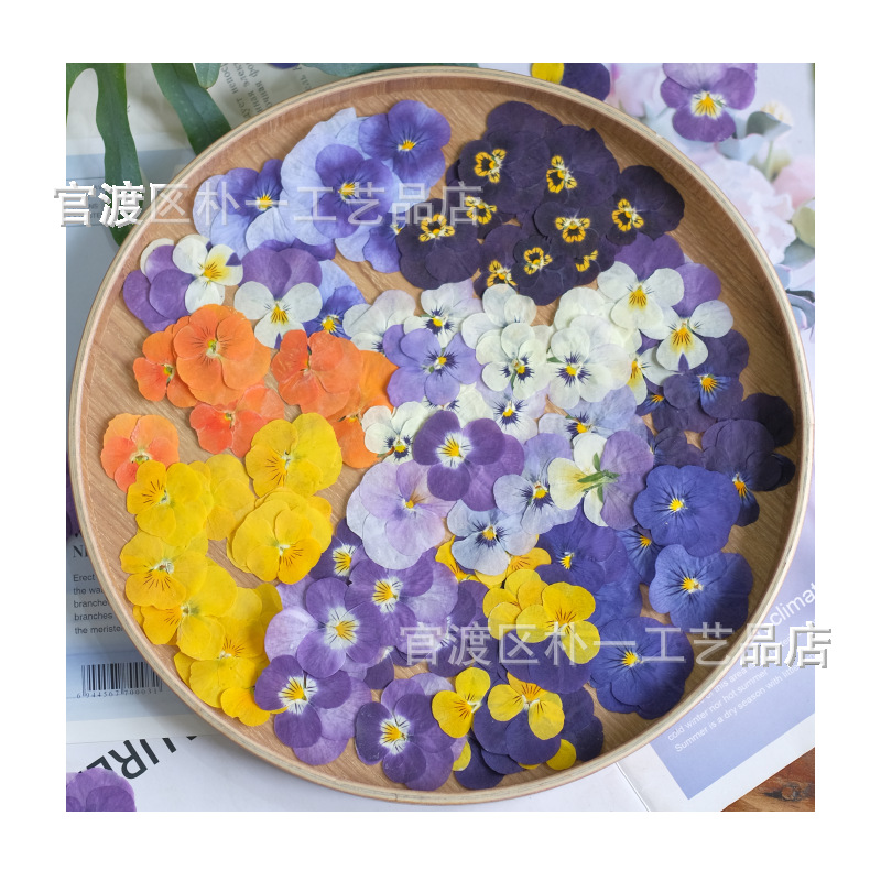 Pansy Fragrant Pansy Dried Flower Embossed Plant Specimen Wholesale Bed Flower Photo Frame Table Lamp Real Flower Nail Art Face Decorative Flower
