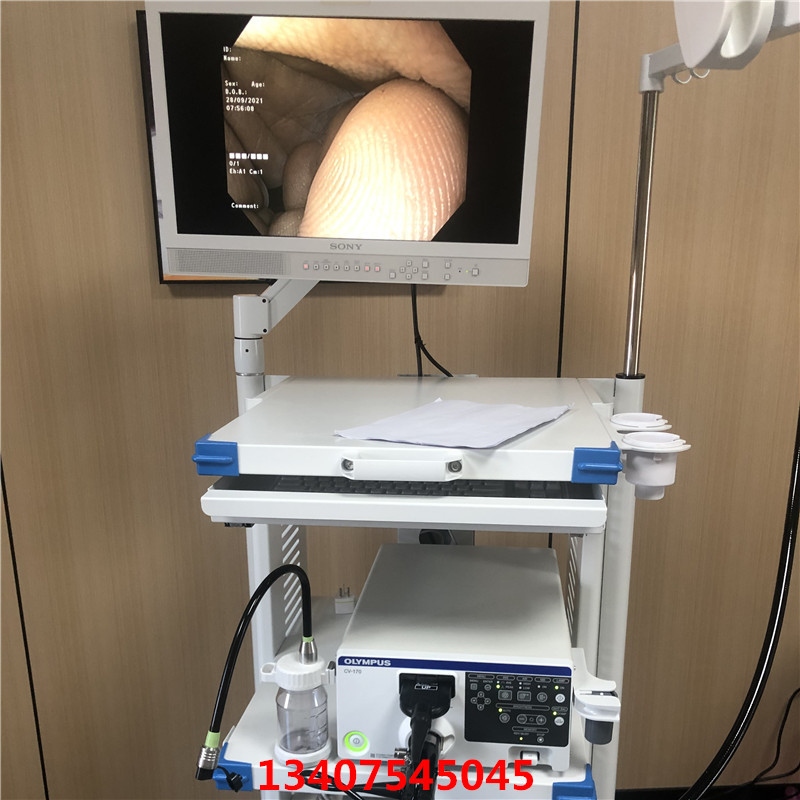 Olympus Upper Gastrointestinal Electronic Endoscopy Gastroscope GIF-HQ290