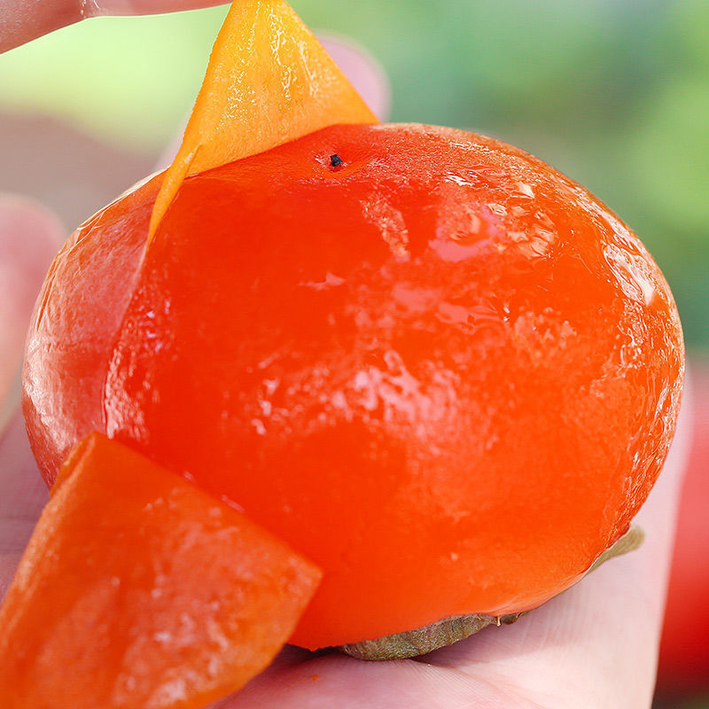 Freshly Picked Shaanxi Fire Crystal Persimmon Fresh Fruit Seasonal Whole Box Free Shipping Crisp Crystal Cupping Small Soft Sweet Mini