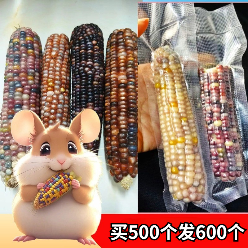 Кукуруза для прорезывания зубов, закуски для кроликов и чинок, оптовая продажа