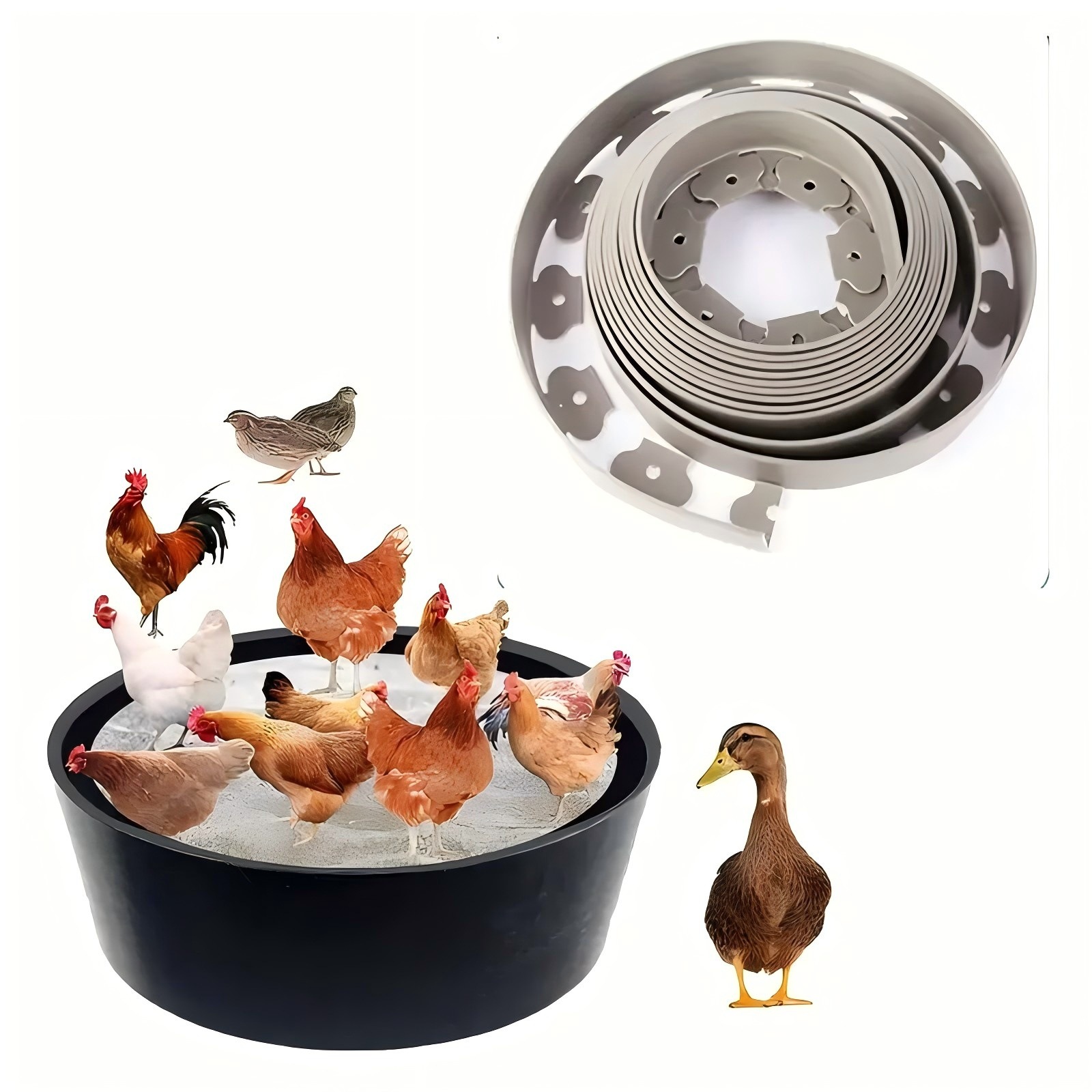 25inch Bottomless Chicken Dust Bath Tub, Pe Material, Adjustable Chicken Dust Bath, Essential for Coop Cleaning Containers