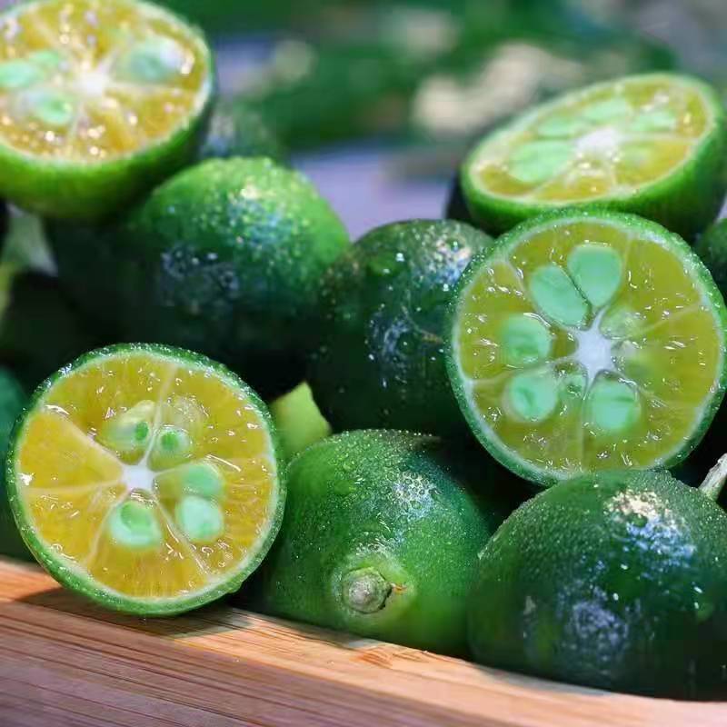 Свежий малый зеленый апельсин из Хайнаня, свежий сезонный зеленый кумкват, лимонный кислый зеленый апельсин, тонкий сок, эксклюзив для чайных магазинов