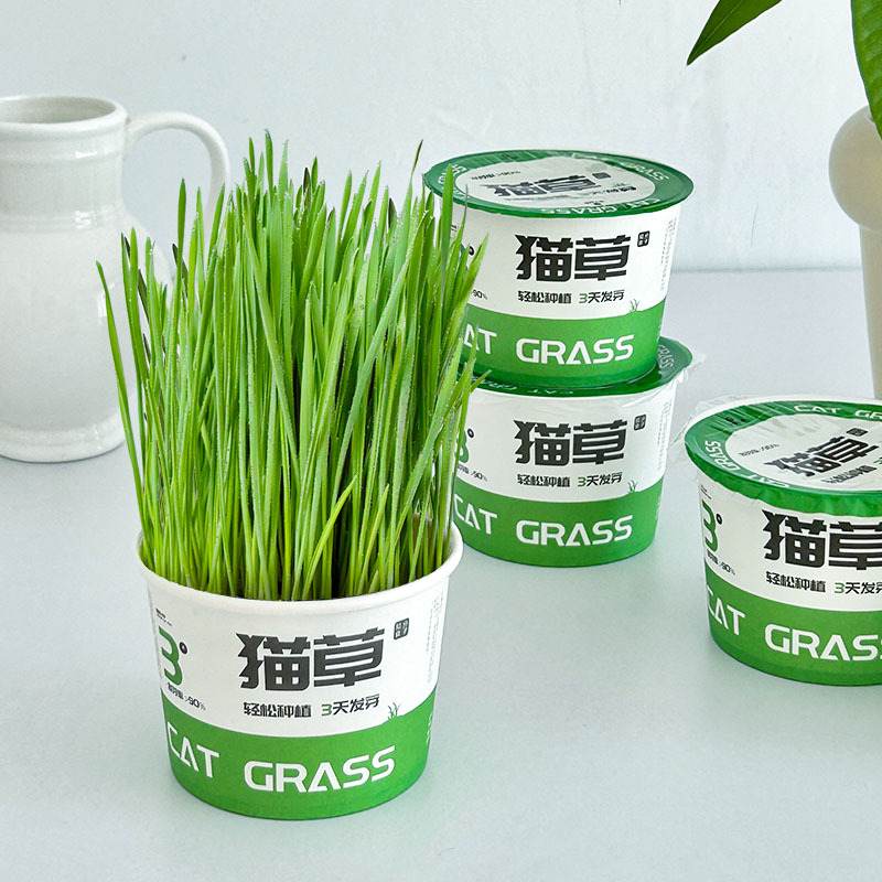 [Factory Original] Lazy Cat Grass Canned Hydroponic Soilless Hair Removal Ball to Help Digestion Snacks Instant Noodles Cat Grass Potted Plants