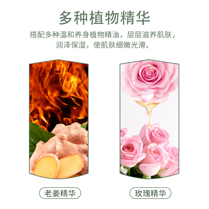 Mugwort Essential Oil Plant Body Spa Massage Gua Sha Beauty Salon Lavender Mugwort Ginger Rose Essential Oil in Stock