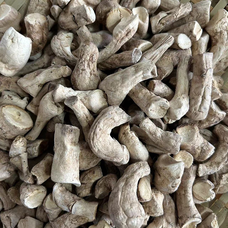 Factory in stock 1.3-2.3 Double Cut Mushroom Feet/Mushroom Leg Bag Dumpling Filling Food Processing Dry Mushroom